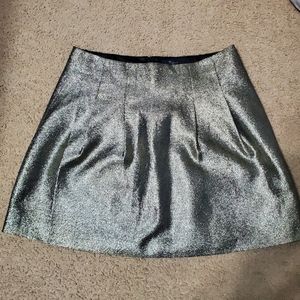 Sparkly Madewell Skirt